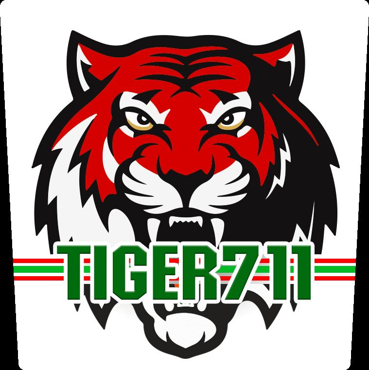 3. ข้อเท็จจริงที่น่าสนใจเกี่ยวกับสล็อตใน Tiger711